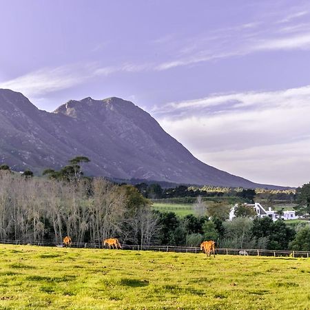 ホテル Hemel 'N Aarde Stud ヘルマナス エクステリア 写真
